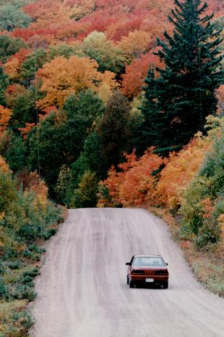 Canada - Ontario - Algonquin Park