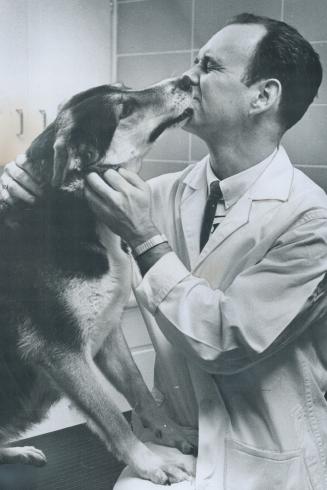 A happy greeting is given Dr. Duncan Sinclair, chairman of Queen's University animal care committee, by a dog that has just been brought to the univer(...)
