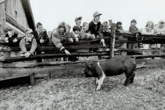 Ontario Agricultural Museum