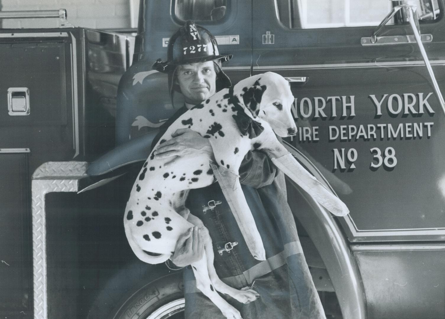 Sebastian's on the mend, Sebastian, the 5-year-old Dalmatian that doubles as a mascot for the North York Fire Department, broke his two front paws rec(...)