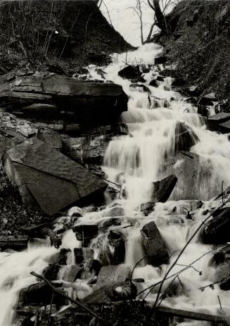 Falls at Lambton, near Toronto, which fall about 100 feet into a glen just west of the Humber river