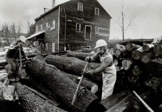 Log rollers: Bob Shafer, right, and Peter White dig in their picks and move logs off to the saw