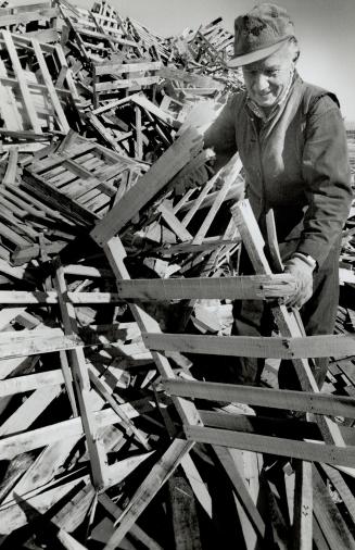 Added benefit. Retired General Motors worker Pete Klym gathers wood to heat his house from a huge pile of discarded skids. GM lets its employees take (...)