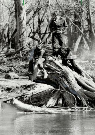 An old tree root in the Oshawa Creek the ideal perch for a little Spring fishing