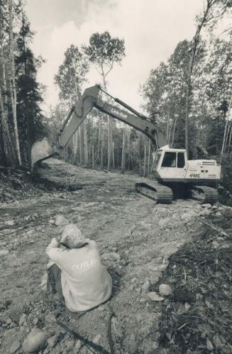 Above, an environmental protester watches helplessly as a power shovel clears trees on the Goulard Road being cut to facilitate logging
