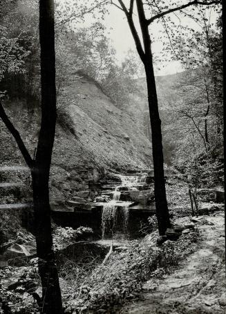 This is historic ground. The blood of patriots has flown where this brook trickles. The scene is the picturesque gorge of Stoney Creek on the Niagara peninsula, near the site of the battle in 1812