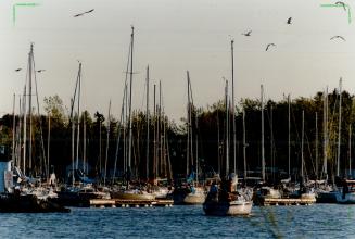 Whiby harbor