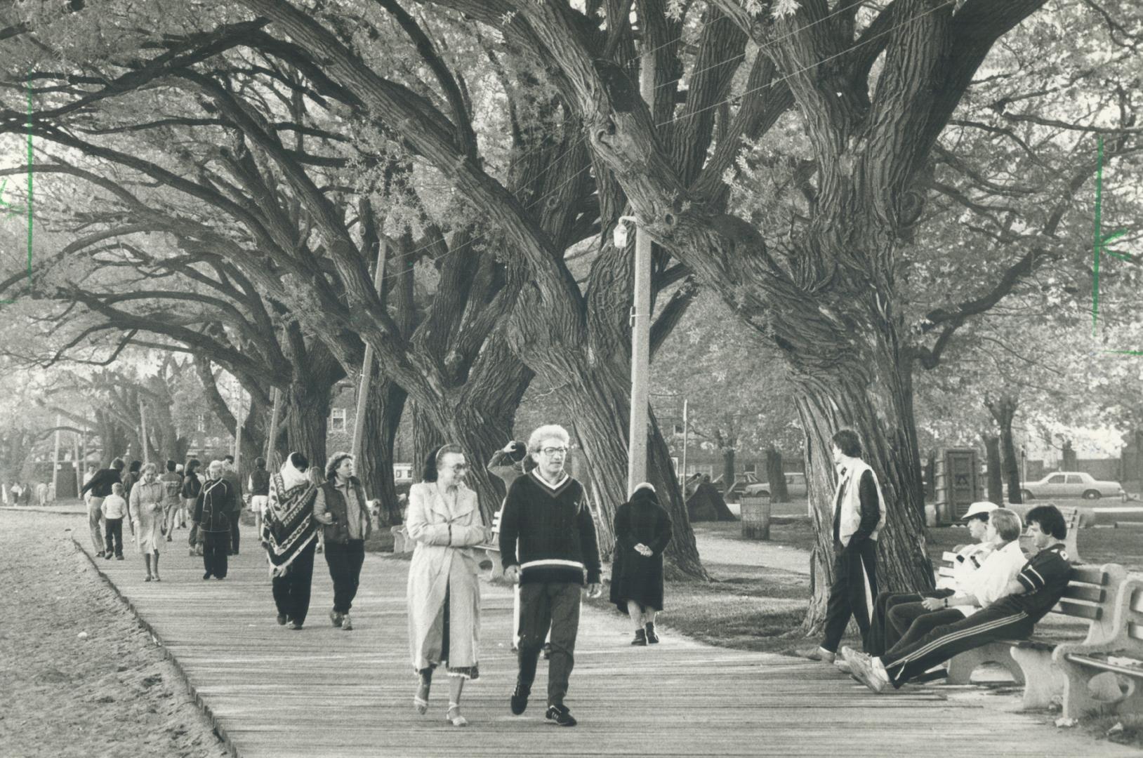 A stroll along the Lake Ontario boardwalk is an important part of the way of life for the 19,000 residents who call the Beaches home
