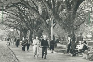 A stroll along the Lake Ontario boardwalk is an important part of the way of life for the 19,000 residents who call the Beaches home