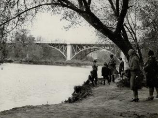 Bloor Street West, bridge over Humber River, Toronto, Ontario.