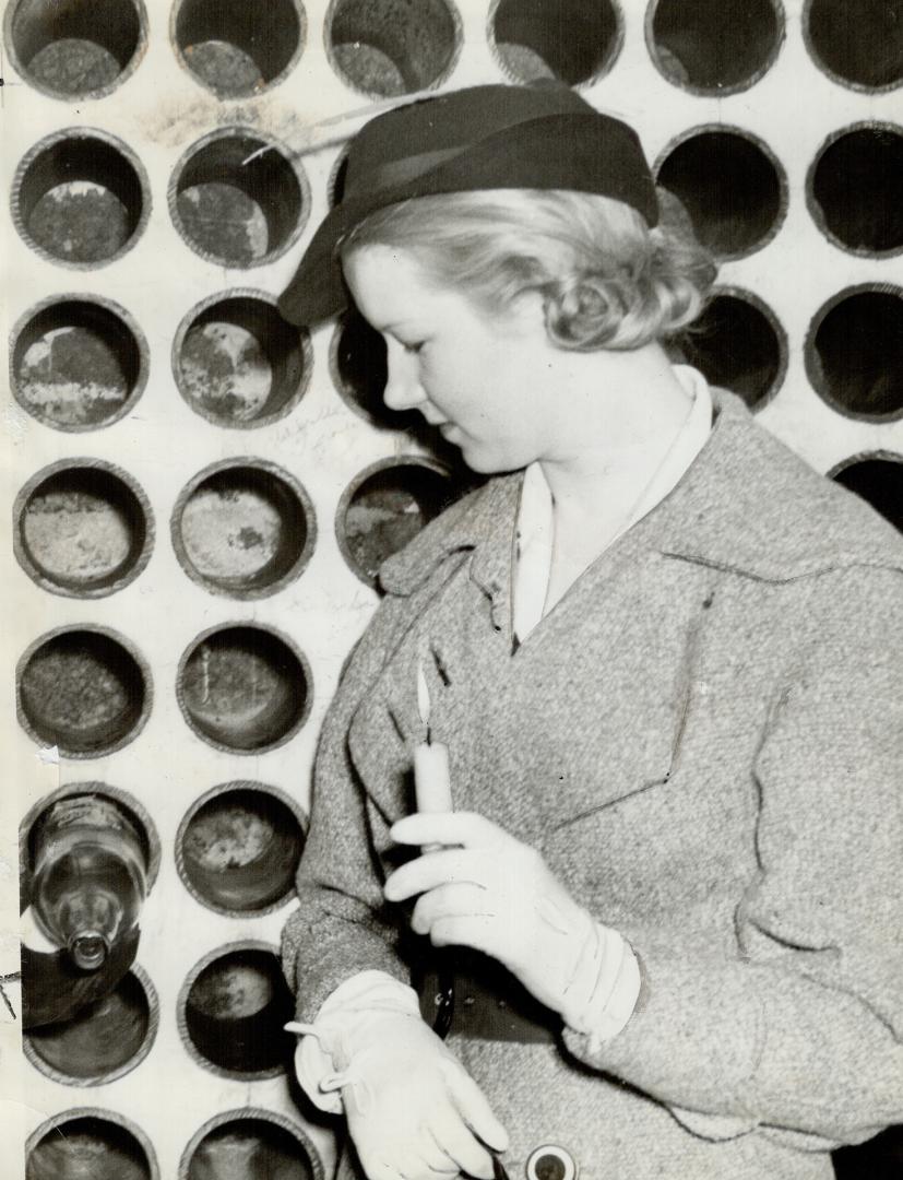 One empty bottle not remains in the cellar with once held 1,800 bottles of rare wines porcelain containers