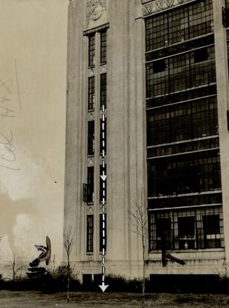 Fell four storeys, Al Davidson, 19, fell from a fourth-floor window of the Tip Top Tailor plant (above) and is believed to have suffered a broken back(...)