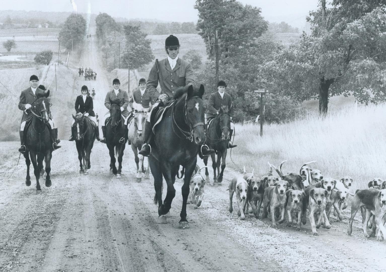 Hounds, horses and riders of Toronto and North York Hunt head home after a morning's run in King Township, within 25 miles of downtown Toronto