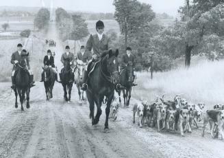 Hounds, horses and riders of Toronto and North York Hunt head home after a morning's run in King Township, within 25 miles of downtown Toronto
