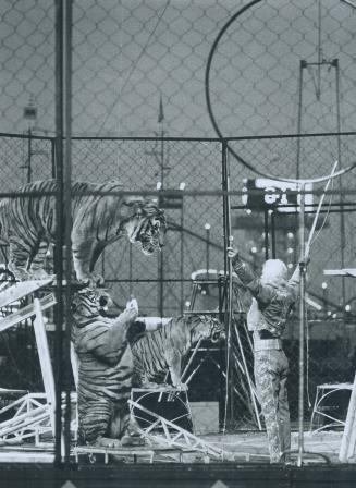 Canada - Ontario - Toronto - Exhibitions - CNE - 1971 - 1972