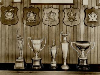 Trophies