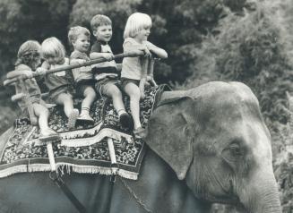 A maxi-ride for some mini-people, Dondi, a 13-year-old Indian elephant, serves as a unique, non-mechanical ride for youngsters visiting the Children's(...)