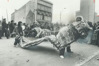 A lion dance on Elizabeth St. ushers in the Chinese Year of the Ox with a noisy, colourful parade through Chinatown Saturday. Drums and firecrackers m(...)