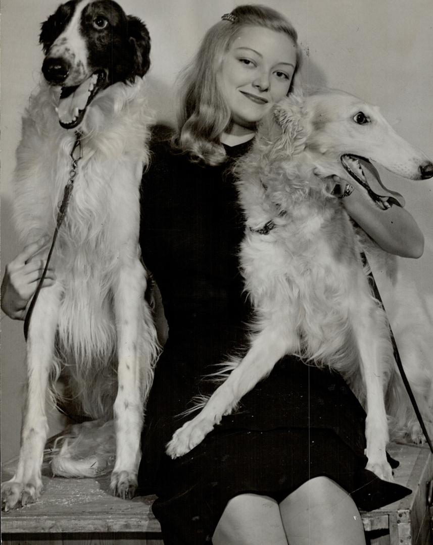 Boris Czar, left, $5,000 Borzoi owned by Fernand DeKuyper, seen with a visitor at the Royal Winter Fair and Lady Luck of Kalmein, is believed most valuable entry in dog show