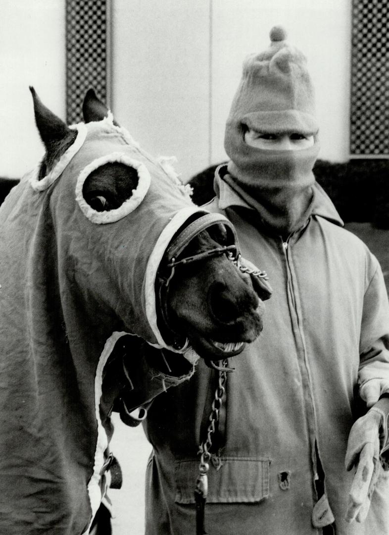 Warming up: Horse and owner are bundled up against the cold yesterday as John Bruton of Carlton Place walks his hackney, 14-year-old Sedores Carnation Cadenza, at the Royal Winter Fair