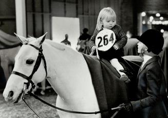 Riding high: Little Lauren Hayes, 21 months, tries out Corie Collard's number and mount, Threes a Crowd