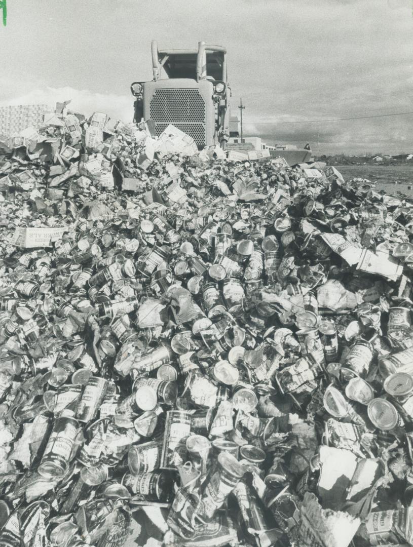HUndreds of thousands of cans of giner ale artifically sweetened with cyclamate are crushed by a bulldozer at the Canada Dry plant on Finch Ave. Wilso(...)