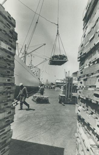 Image shows a cargo ship loading in progress.
