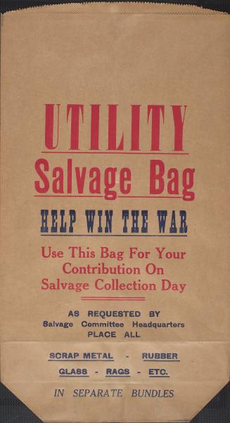 Utility salvage bag