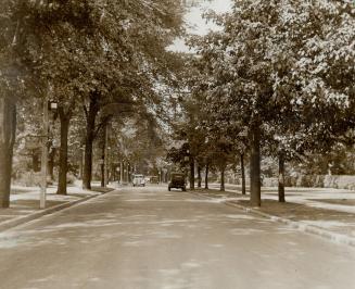 Image shows a street view with trees on both sides.