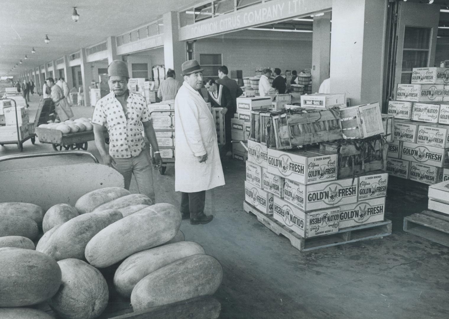 Fresh produce by the ton, 66 different kinds of fruit and vegetables from all parts of Canada and 30 foreign countries, enters and leaves Etobicoke's (...)