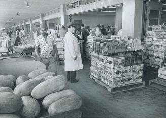Fresh produce by the ton, 66 different kinds of fruit and vegetables from all parts of Canada and 30 foreign countries, enters and leaves Etobicoke's (...)