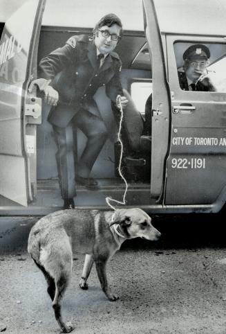 A sad-looking stray was picked up yesterday by John MacArthur, a driver-agent for the Toronto Humane Society, and taken to the society shelter on Well(...)