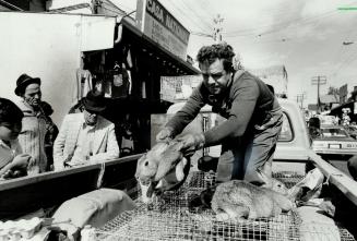 Street corner businessman selling rabbits out of back of his truck is just part of the smells, the crowds, the commotion and the sounds that make Kens(...)