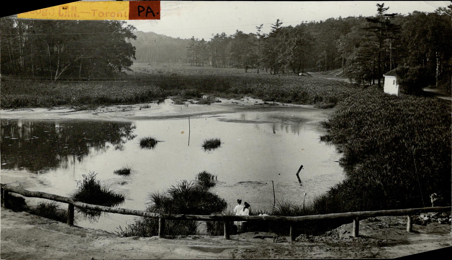 Calfish Pond High Park