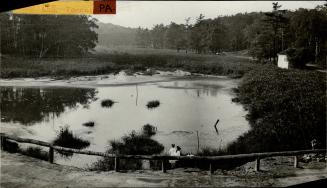 Calfish Pond High Park