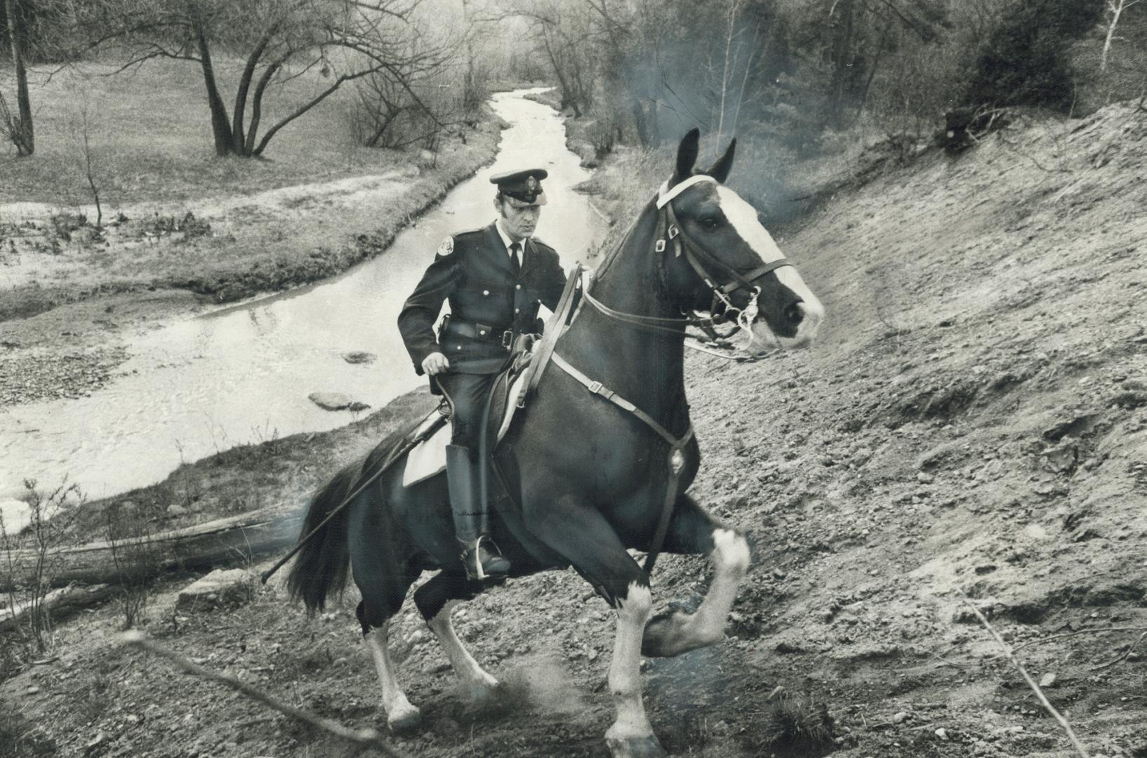 Mounted police patrol morningside park