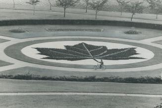 There were Maple Leaf flags all over Metro for the celebration of Canada's 105th birthday--but none as large as the maple leaf made of 3,500 plants in(...)