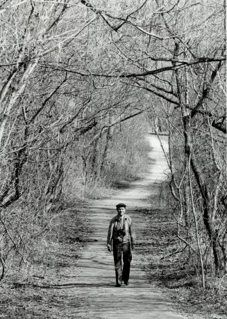 Man and nature: Naturalist Eric Nasmith strolls on the path in wooded Moore Park ravine