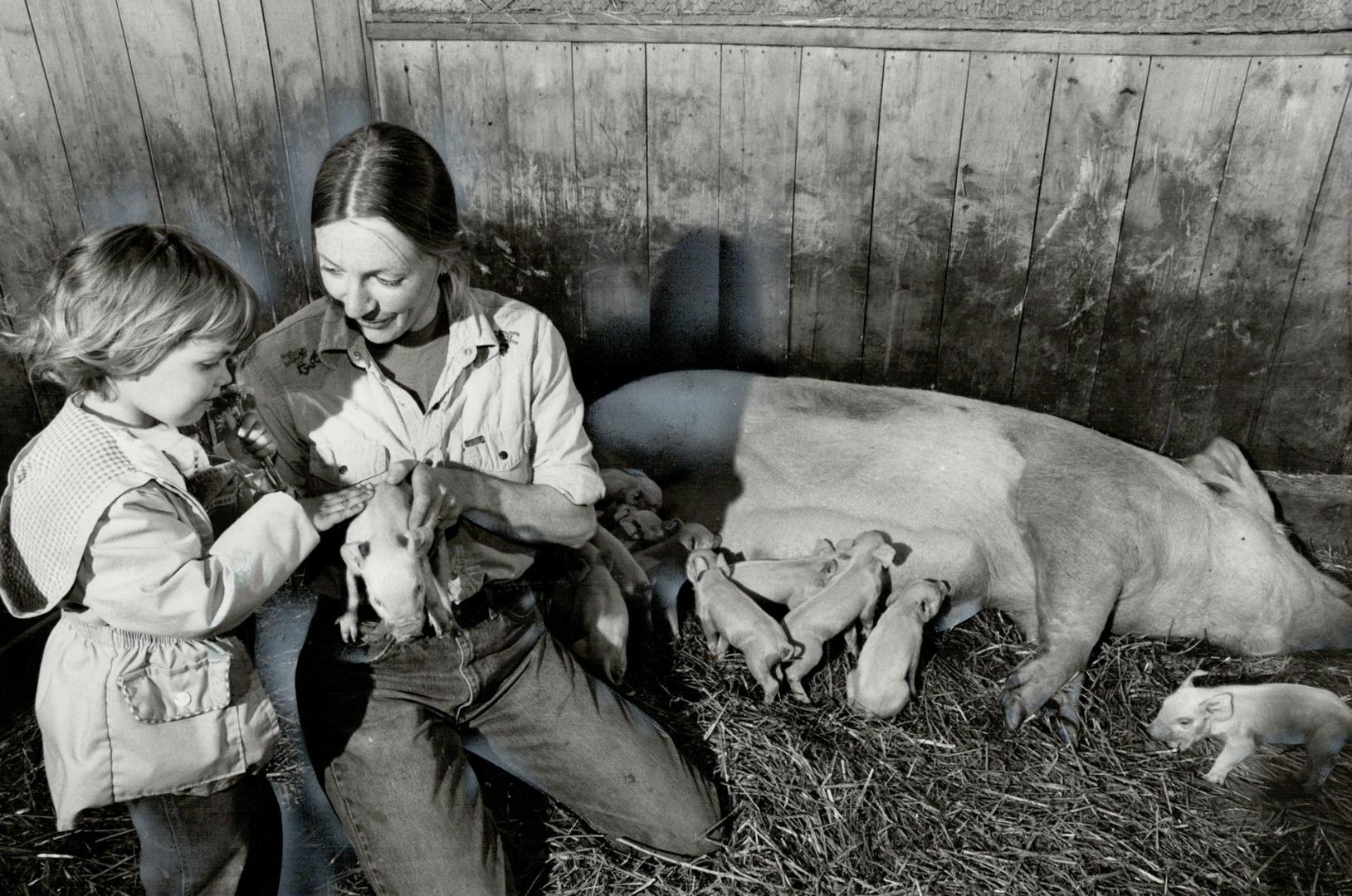 Farm visit beats blues, Riverdale Farm great place to take the kids