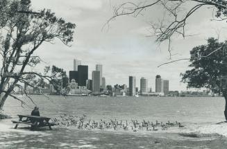 Image shows a lake view with the Toronto Harbour in the background.