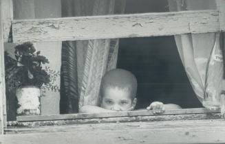 Bobby McDougall, 5, peers out of the window of his family's home on Sackville St