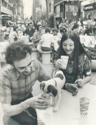 It's a dog's life on the mall. Pat, a 6-week-old pup, gets a refreshing lemon drink yesterday at an outdoor restaurant on the Yonge St. Mall, bought b(...)
