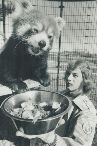 How to Panda to a Big Appetite