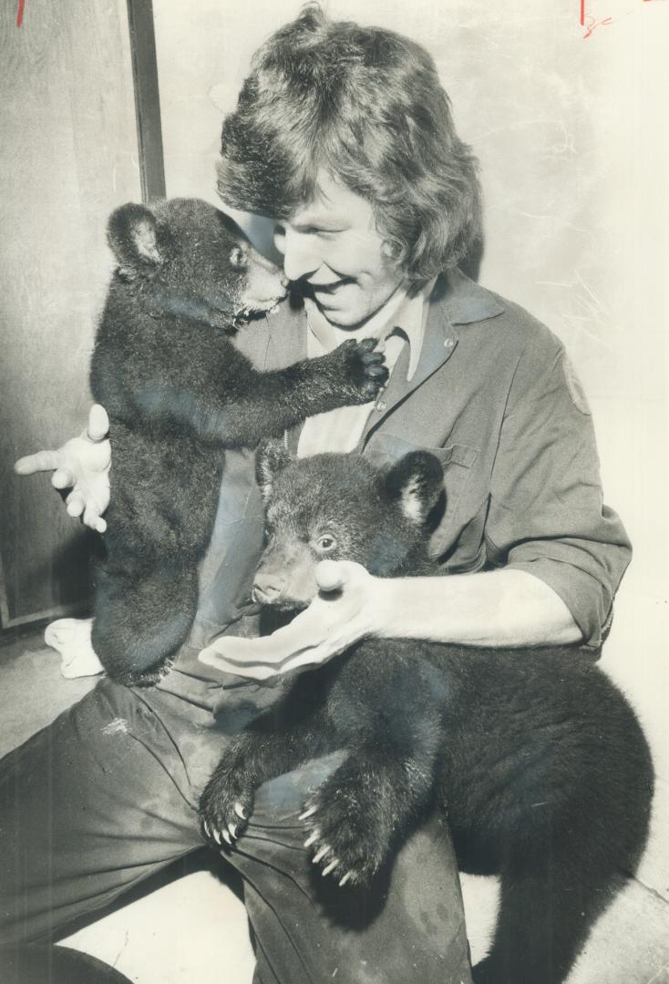 Twin American Black Bears, 3 1/2-month-old Florence and Dougall, are a handful for Wayne Jackson, 21, at the Metro Zoo