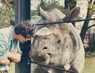 Keeper Wayne Jackson has given up after two years trying to teach the Metro zoo's Indian rhinos, Vinu, above, and Indira, that using their pool as a w(...)