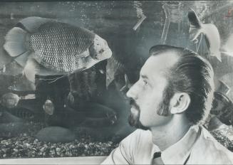 Pretty Posh accommodation, Mr. Ospher decides as he settles into the 700-gallon tank at metro Zoo and swims among the vegetation from his IndoMalaysia(...)