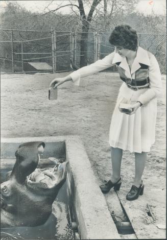 Feeding Hippopotamus at the Riverdale Zoo, Jocelyn Kealey wears two -piece outfit with off white pleated skirt and matching top featuring green, gray (...)