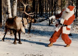 Blitzen won't budge till Dec. 24. 'Twas the week before Christmas, and all through the Metro zoo, most creatures were stiring, except for Santa's crew(...)