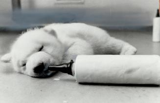 Bottle soothes baby
