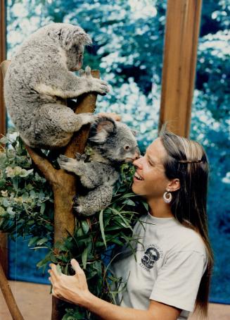 How about a cuddle, nuzzle? Nutsy (top) and Point Blank keep on the good side by Valerie Thompson, senior mammal keeper from the San Diego Zoo. She is(...)